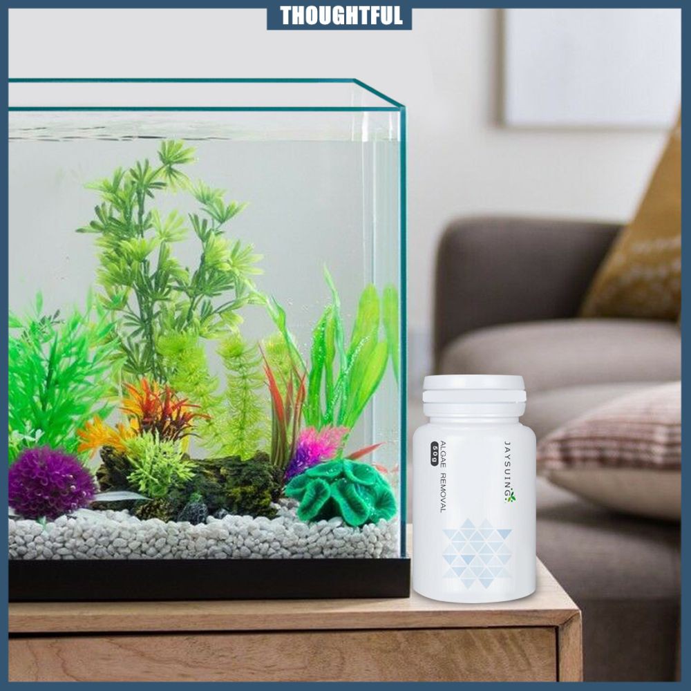 Bột Vệ Sinh Rêu Cho Bể Cá Cảnh