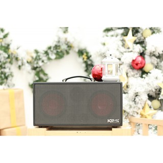 Dàn Âm Thanh Di Động ACNOS CS450