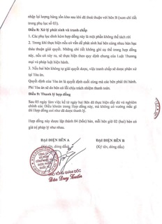 Cốm chùm ngây Moringa