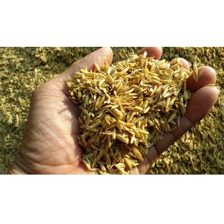 Trấu tươi (gói 2 dm3)-UtNho