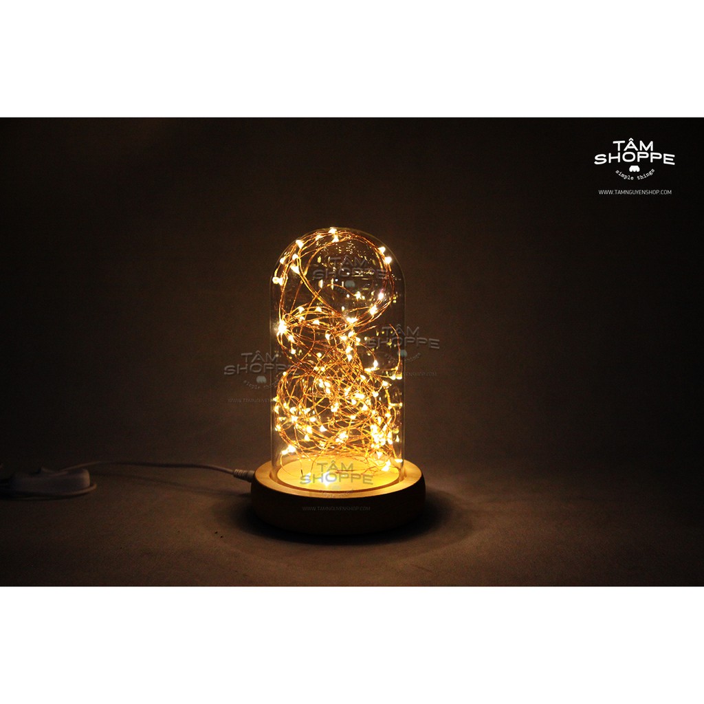 BỘ ĐÈN LED DÂY ĐỒNG FAIRY LIGHT NHÀ KÍNH SỐ 03