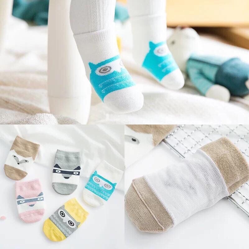 Vớ hoạt hình cho bé - set 5 đôi