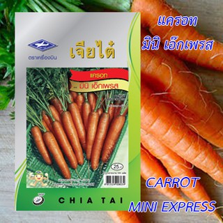 hạt giống carot mini thái lan -gói 500 hạt-mua nhiều giảm giá khuyến mãi cực hot