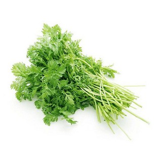 Hạt giống rau tần ô - rau cải cúc