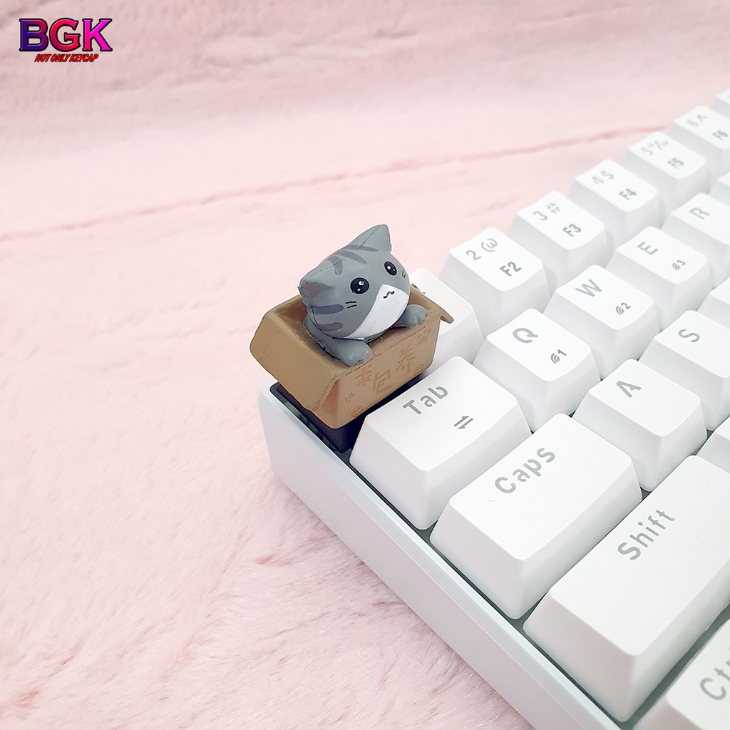 Keycap lẻ hình Mèo Con Trong Hộp siêu dễ thương Keycap Artisan