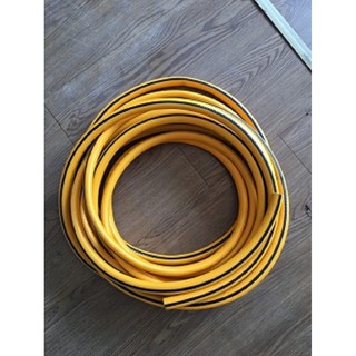 Dây xịt rửa 10 mét pvc ingco hph2001-10m