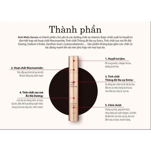 Serum Hỗ Trợ Giảm Nám Anti Mela Essence 15ml - Hàn Quốc