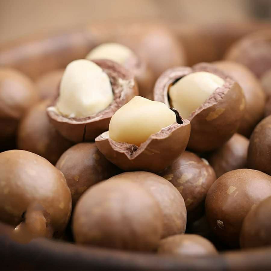 HẠT MẮC CA SẤY LOẠI 1