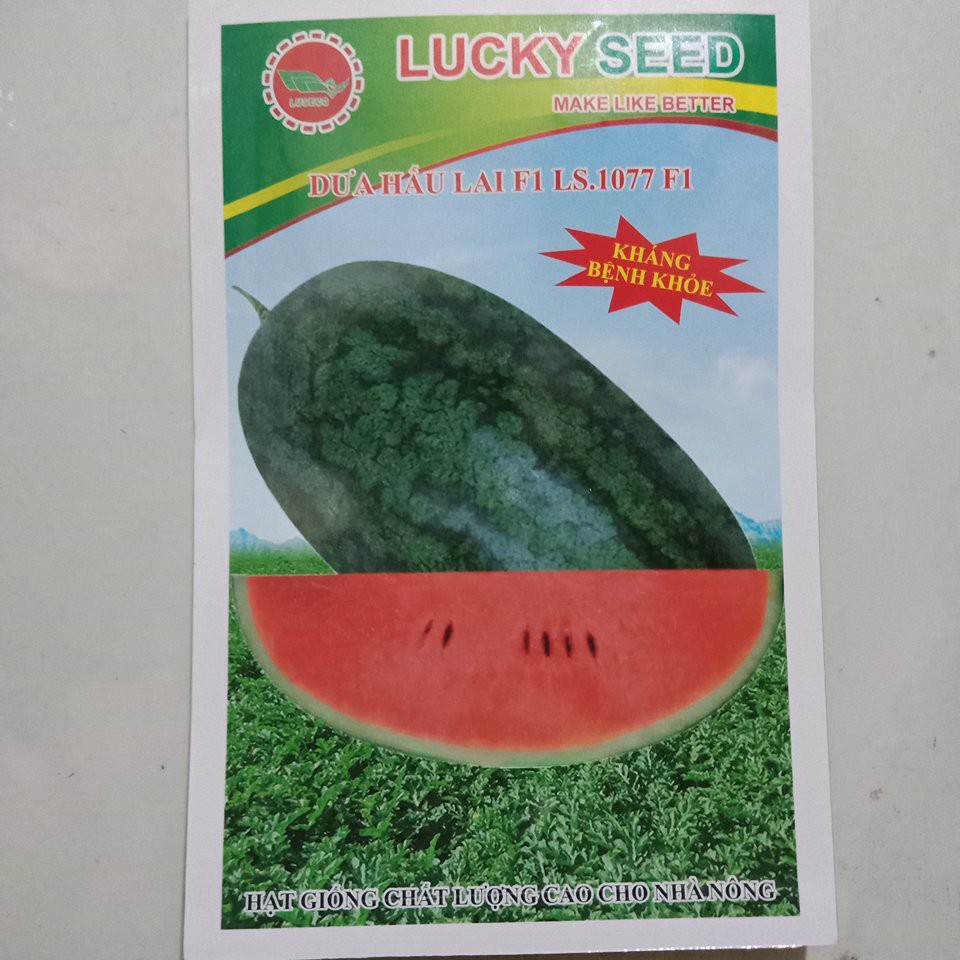 Cung Cấp -71K COMBO HẠT GIỐNG RAU CỦ QUẢ NGON NGỌT LUCKY SEEDS hạt đẹp