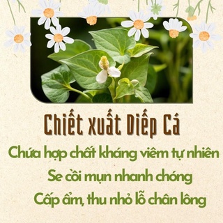 Mặt nạ diếp cá