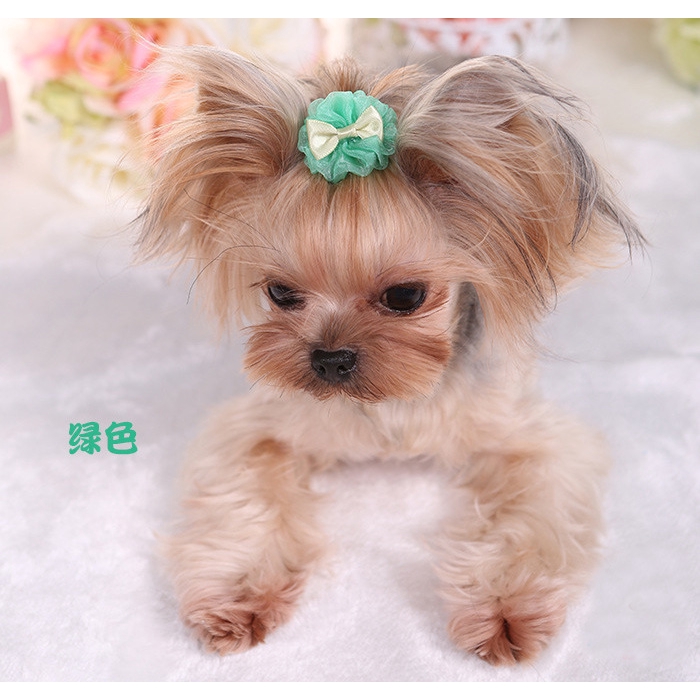 Kẹp Nơ Dễ Thương Thời Trang Cho Thú Cưng
