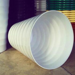 Chậu trắng đk 24cm cao 30cm