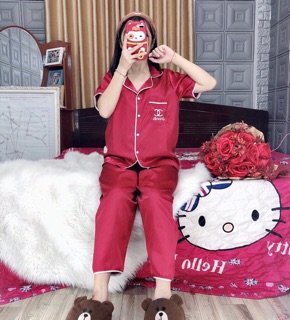 ( Freesize Lụa ) Đồ Bộ Pijama Lụa - Tay Ngắn Quần Dài
