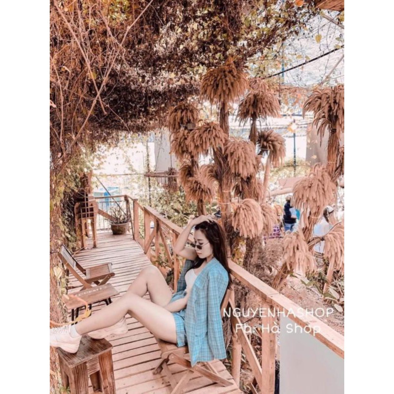 set vest caro + quần short + áo ống đen