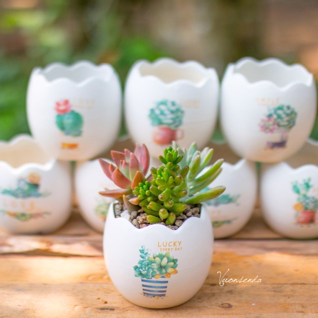 Chậu sứ hình trứng mini 7.5x8cm - In hình