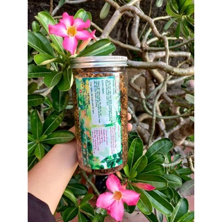 Ruốc chay từ Nấm