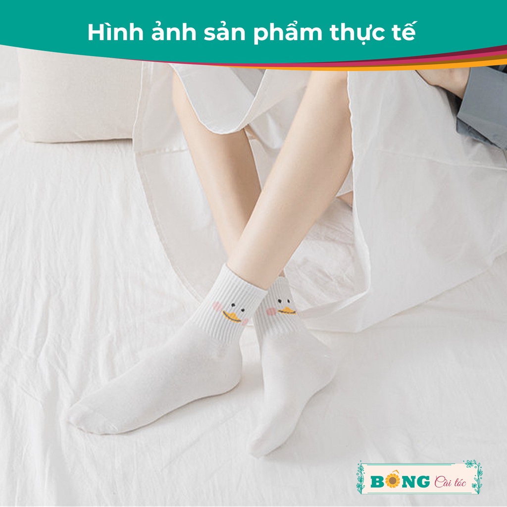 Tất nữ cổ ngắn họa tiết hoạt hình chất cotton mềm mịn co giãn 4 chiều phong cách Hàn Quốc TC20 - Vớ BÔNG Cài Tóc