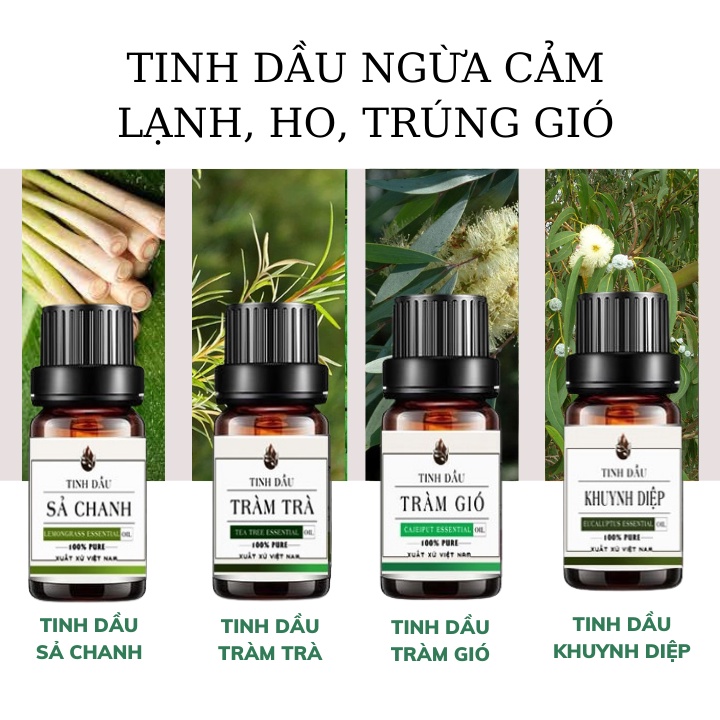 Tinh dầu thiên nhiên tự chọn mùi lọ 10ml tinh dầu xông phòng cao cấp Din House