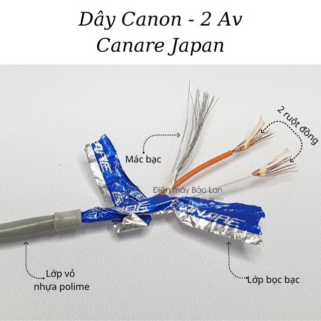 Dây Canon Đầu Cái Ra 2 AV, Dây Canon Cái Ra 2 Av Hoa Sen Hàng Bãi Canare Japan
