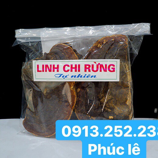Nấm Linh CHi Rừng Tây Bắc 1 Kg | BigBuy360 - bigbuy360.vn