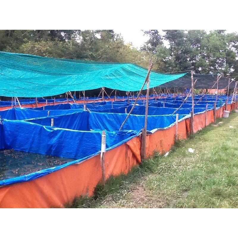 Bể Bạt Nuôi ốc , ếch , cá, lươn -  5 x 4 x 1m ( Bạt A Cường)