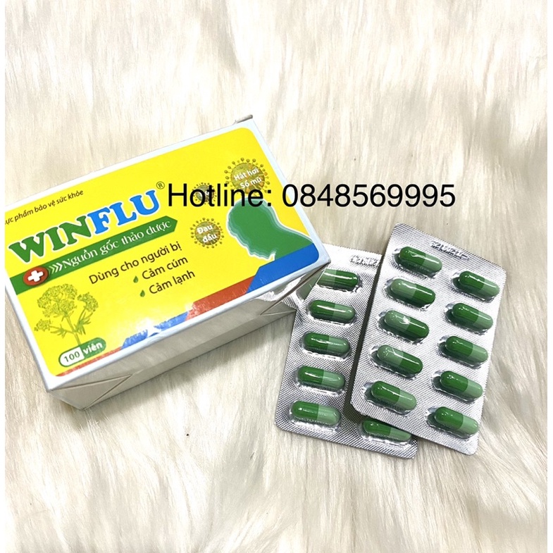 Giảm cảm cúm WINFLU hộp 100v nang - Giảm cảm cúm, ho, đau đầu - Nguồn gốc hoàn toàn từ thảo dược