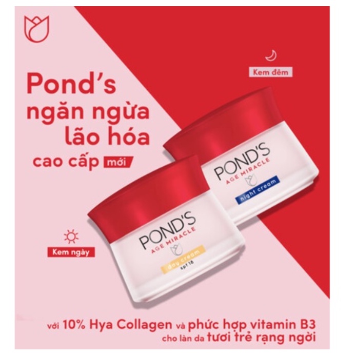 Kem chống lão hóa dưỡng da mặt Pond's Age Miracle ban ngày & đêm 50g - Shop Viloet
