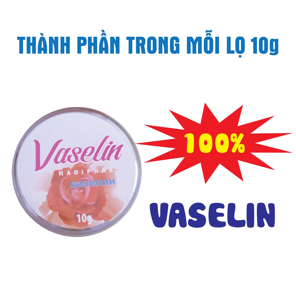 Kem dưỡng môi chống nẻ Vaseline Hadiphar (10 g)