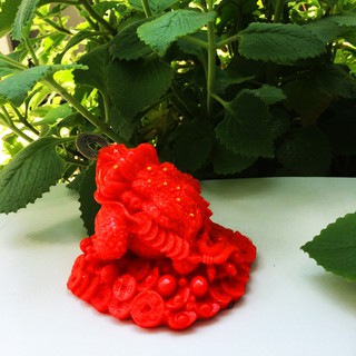 Tượng cóc phong thủy - cóc thiềm thừ  ngậm tiền chiêu tài lộc màu đỏ cao 8 cm x rộng 10 cm