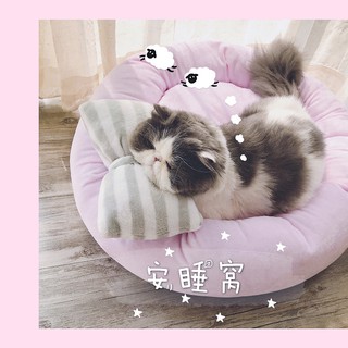 ODER PHỤ KIỆN CHO PÉ MÈO