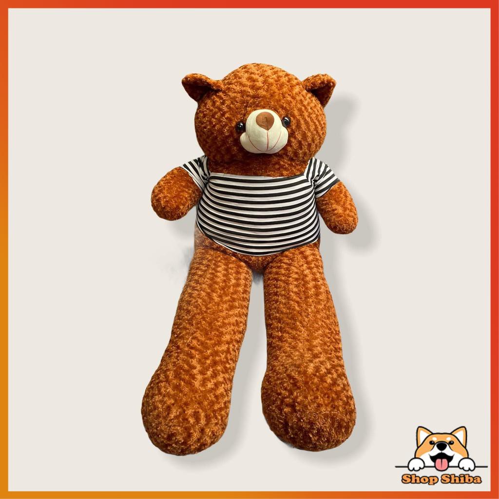 Gấu Teddy Siêu To Khổng Lồ 1M8 Ôm Phê Hơn Cả Người Yêu