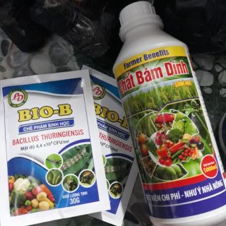Bộ sản phẩm phòng trị côn trùng và chất bám dính