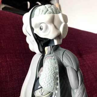 Mô hình KAWS ANATOMY DISSECTED 37CM