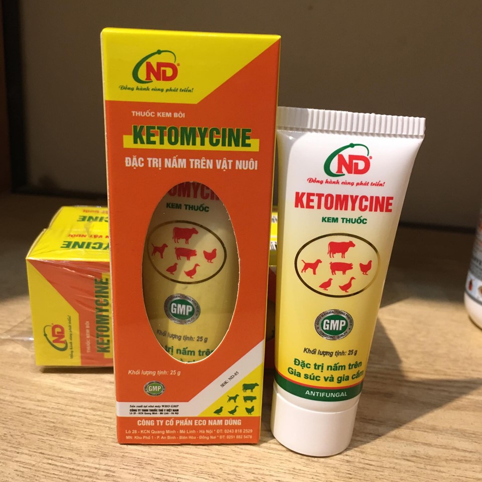 [Mã PET50 giảm 10% - tối đa 50K đơn 250K] Kem Bôi Đặc Trị Nấm Trên Chó Mèo, Gia Súc Và Gia Cầm Ketomycine Tuýp 25g