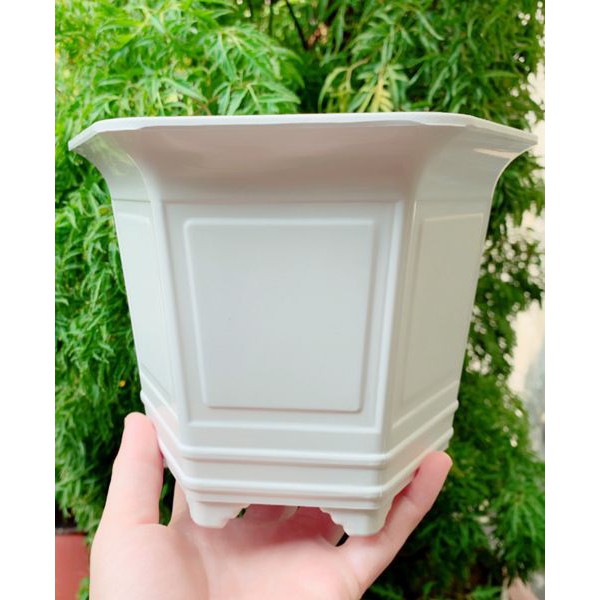Chậu nhựa trồng cây đa dạng về kích thước và mẫu mã treo lên rất tiện, dễ dàng tái chế trồng nhiều lần