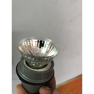 Đèn sưởi ấm cho vẹt/hamster