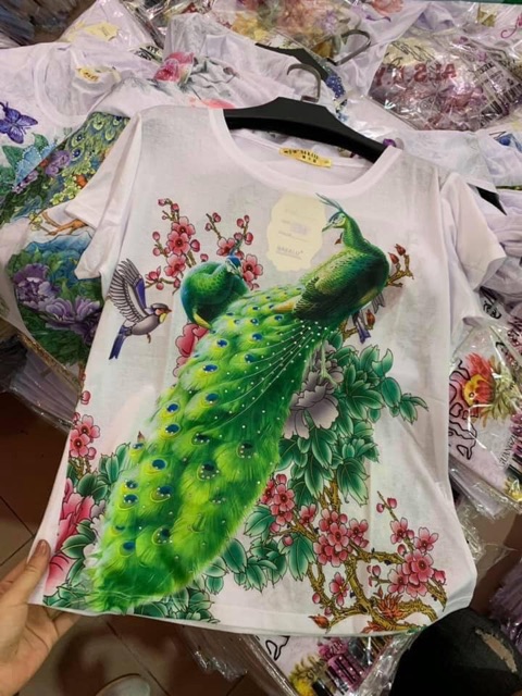 Áo phông giấy đá