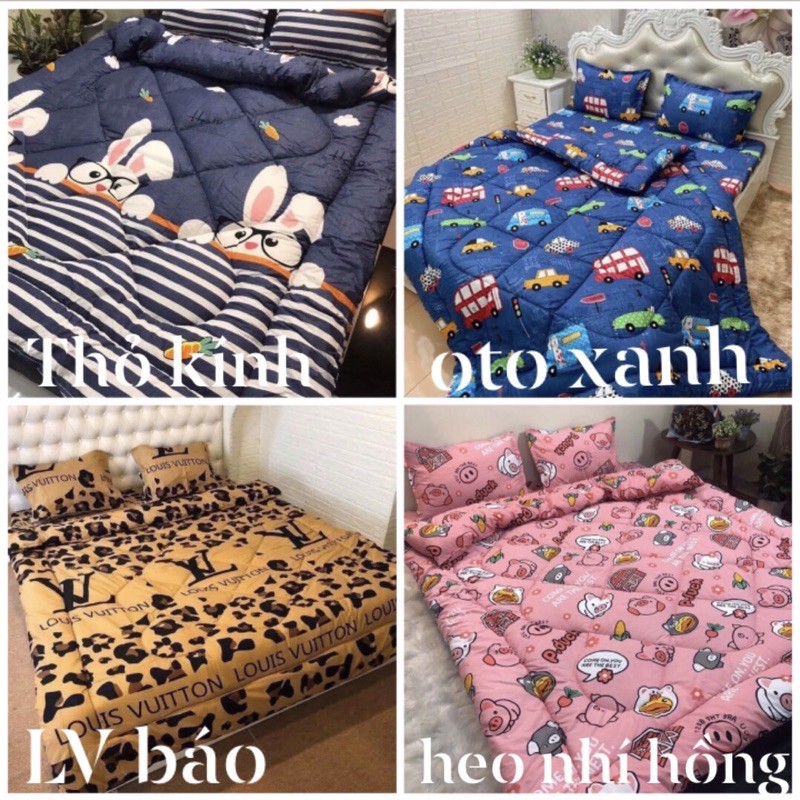 Combo ga giường poly cotton đủ bộ 5 món chăn phao