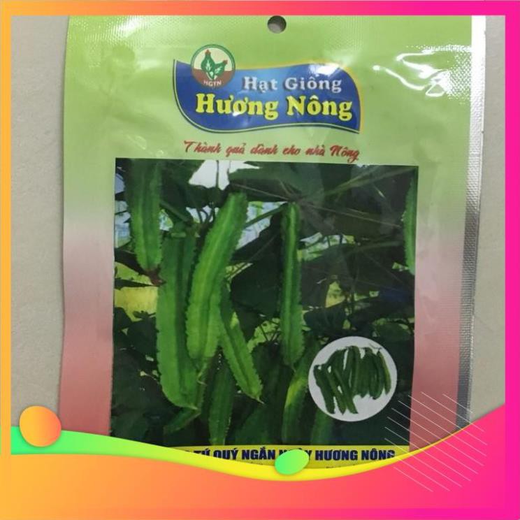 Hạt giống đậu rồng tứ quý Hương Nông chính hãng uy tín, chất lượng nảy mầm tốt