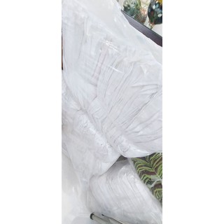 Combo 5kg khăn cân ký 30x30_Trắng