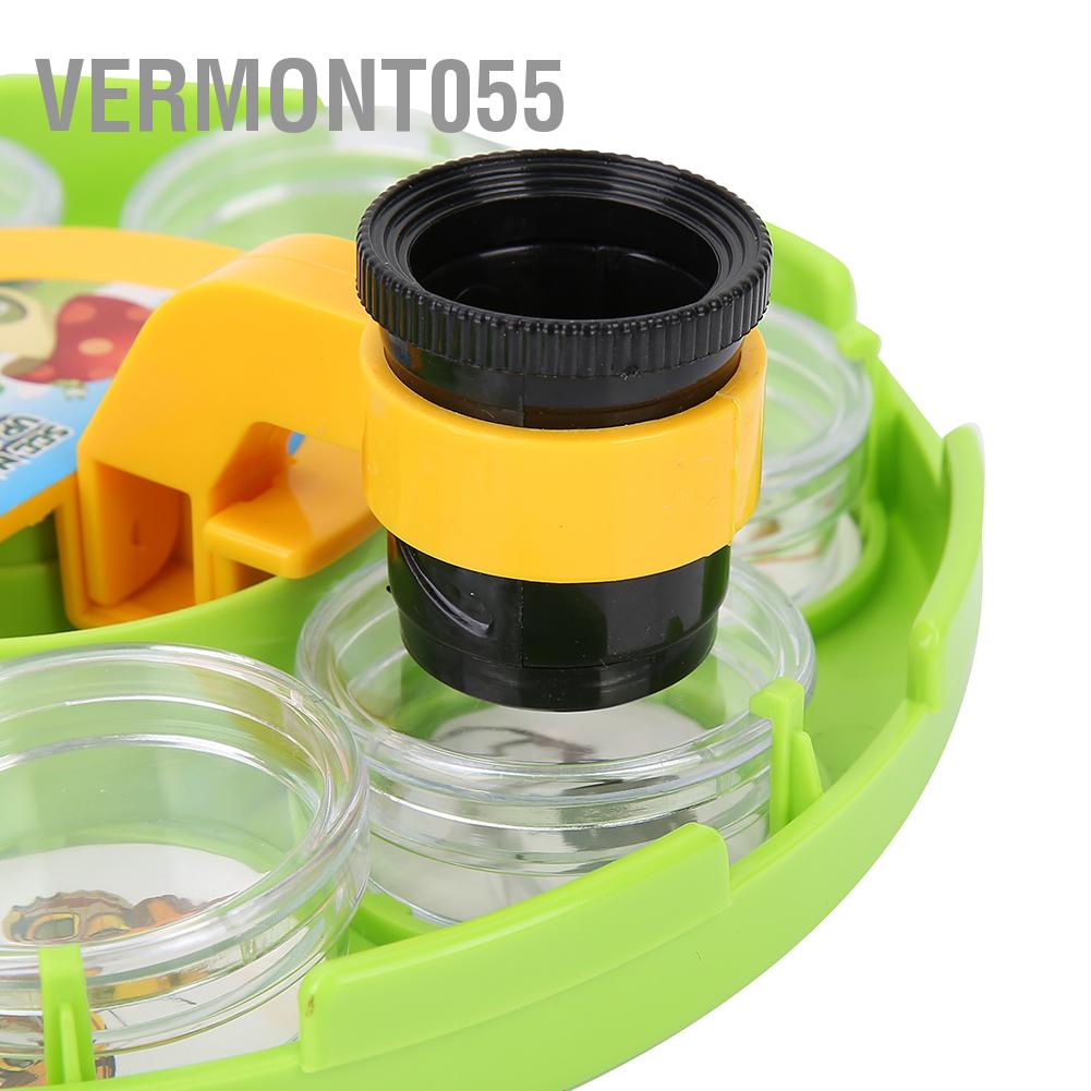 Có thể bán buôn Khoa học ngoài trời Chụp côn trùng Quan sát Hộp kính lúp Xem hộp đựng Vermont055  Hàng giao ngay