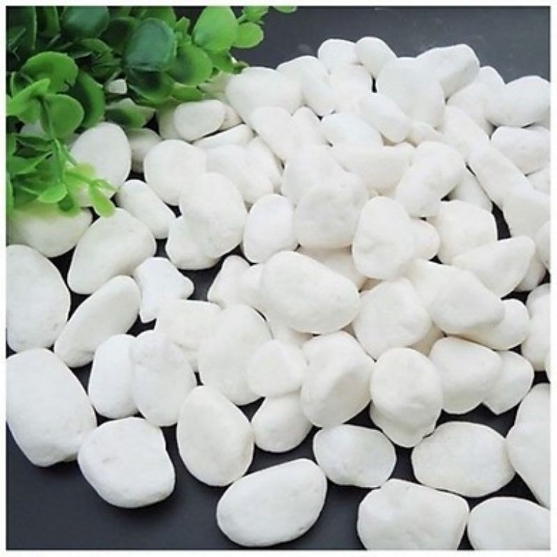 Sỏi trắng rải tráng trí chậu cây, vườn hoa KT 1-1,5 cm 500gr