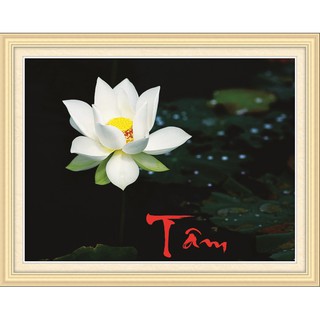 Tranh đính đá Chữ Tâm - Hoa Sen 88700