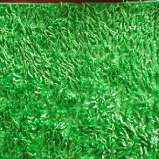 Thảm San Hô Đinh Sợi Dài 40×60