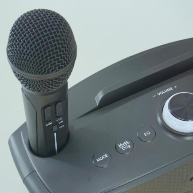Loa karaoke SDRD 306, Loa karaoke bluetooth mini di động, Tặng Kèm 2 Micro không Dây, Công suất lớn, loa to, hát hay