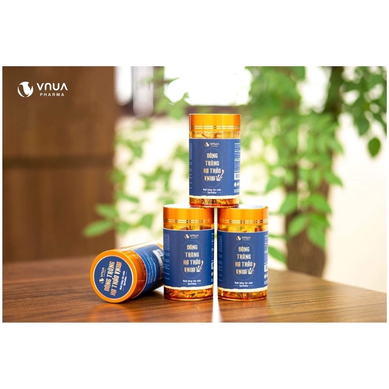Đông Trùng Hạ Thảo Khô Cao Cấp từ tảo xoắn Spirulina hoopi 10g - Sản phẩm nghiên cứu của Học viện nông nghiệp Việt Nam