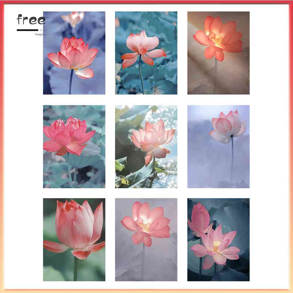 Tranh Đính Đá Kim Cương Toàn Bộ 5D DIY Hình Hoa Sen