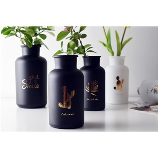 Bình hoa thủy tinh asight phong cách bắc âu
