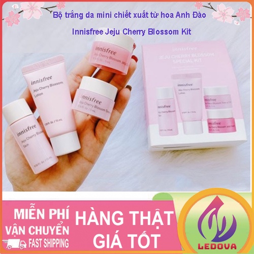 Bộ Dưỡng Da Innisfree Mini Chiết Xuất Từ Hoa Anh Đào Jeju Cherry Blossom Kit