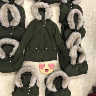 Áo parka zara auth